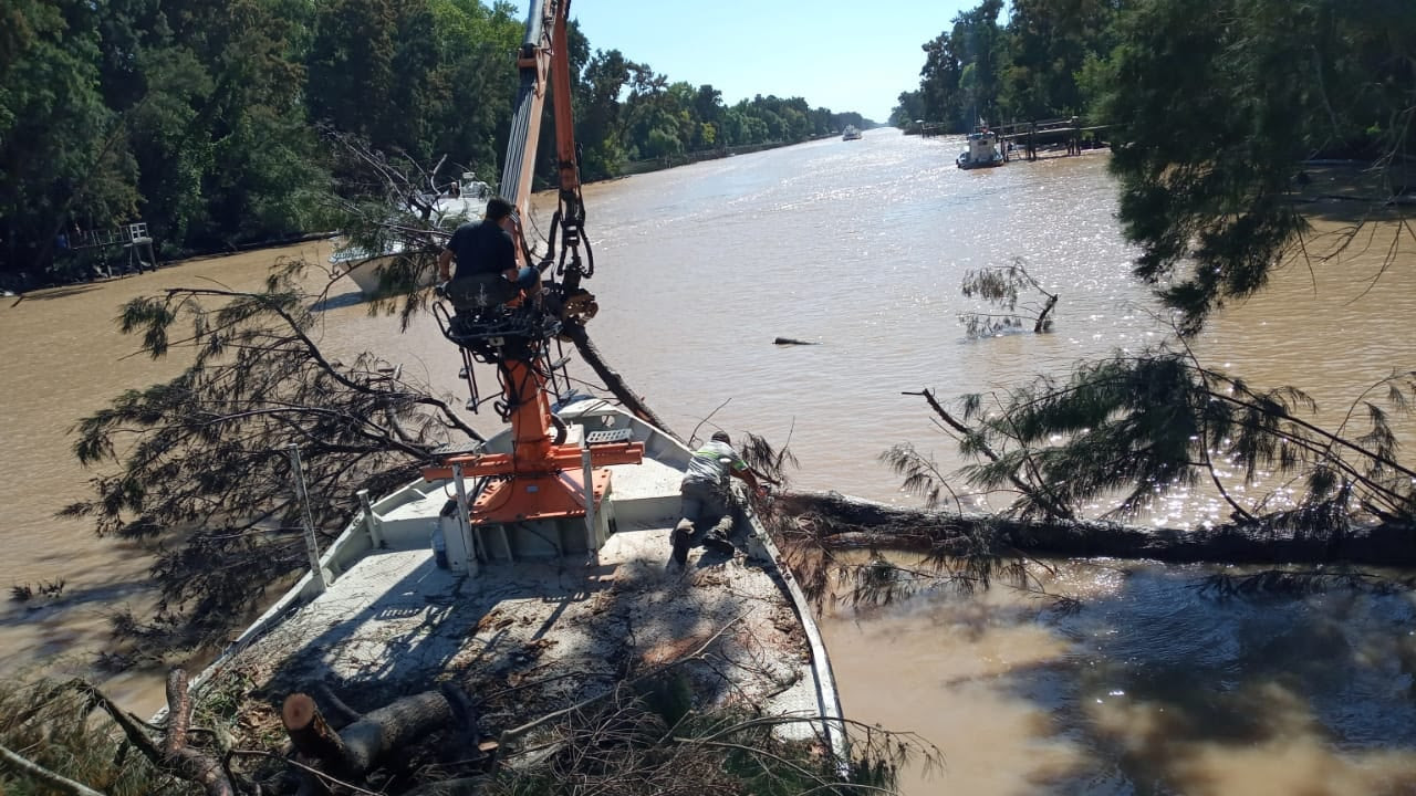 Se extienden los trabajos de destronque en el Delta de Tigre 