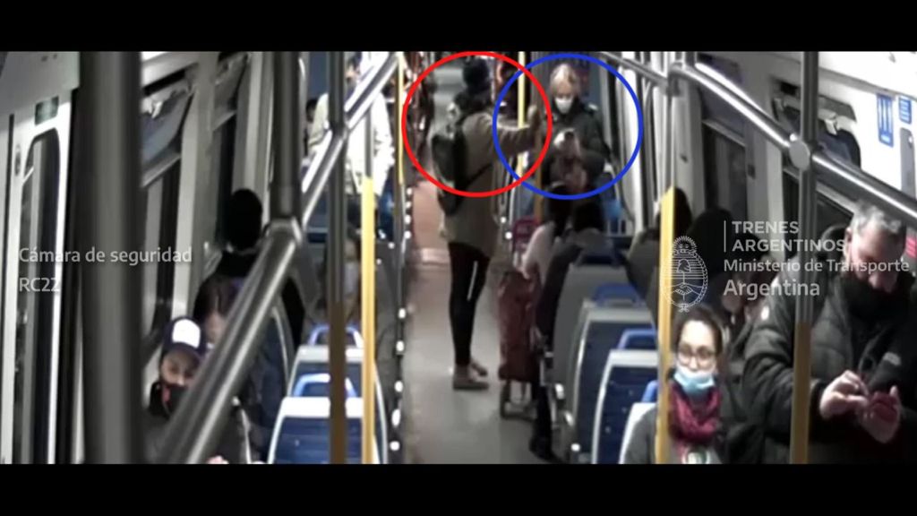 Una pasajera quiso arrebatarle en el tren el celular a otra mujer y la golpeó. fue seguida por las cámaras de trenes argentinos 