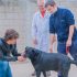 Juan Andreotti promovió la adopción de perros con tenencia responsable